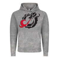 Cloud Rock MSUM Dragons, Gear Vintage Hoodie - linhVisuals