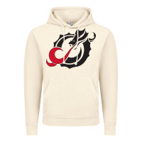 Vintage Artic MSUM Dragons, Gear Vintage Hoodie - linhVisuals