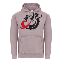 Vintage Zinc MSUM Dragons, Gear Vintage Hoodie - linhVisuals