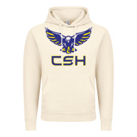 Vintage Artic cold springs high school Vintage Hoodie - linhVisuals
