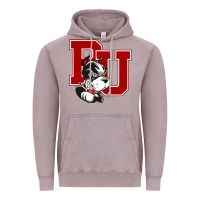 Vintage Zinc bu university terries champion Vintage Hoodie - linhVisuals