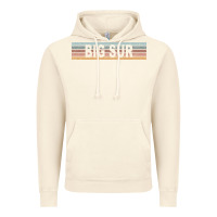 Vintage Artic big sur california ca usa retro sweatshirt Vintage Hoodie - linhVisuals