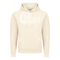 Vintage Artic chicago retro styled faded design Vintage Hoodie - linhVisuals