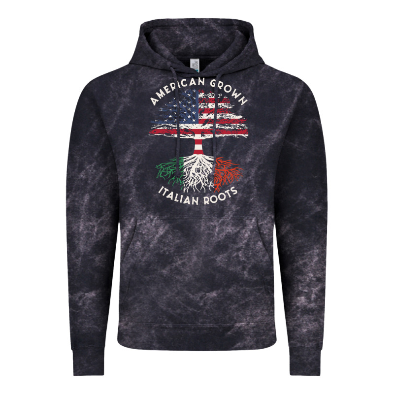 American Grown Italian Roots Usa Italy Flag Tree Vintage Hoodie by linhVisuals | Teevron