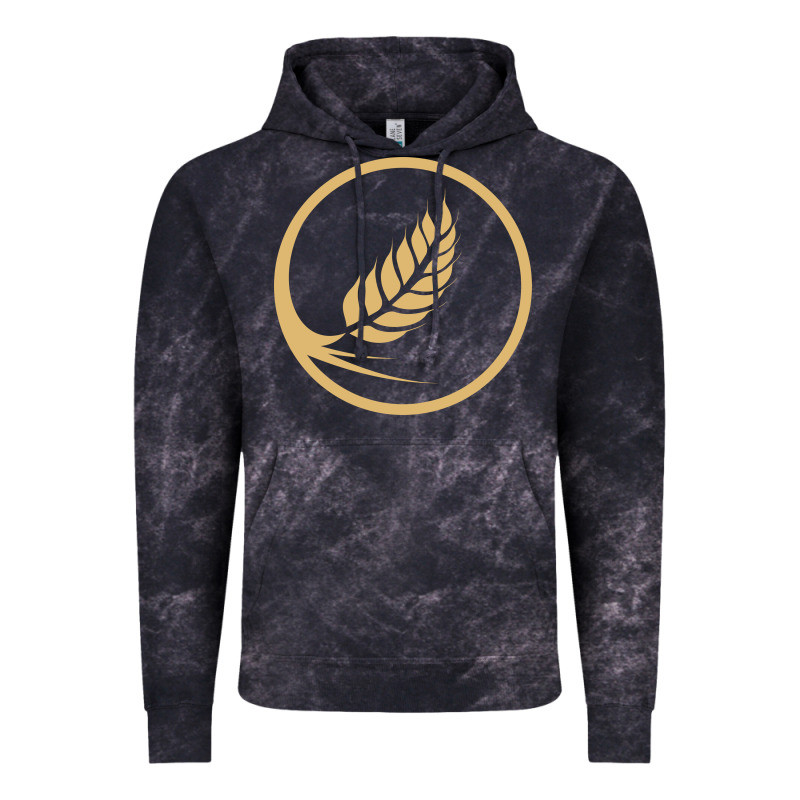 West Coast Baptist College Vintage Hoodie by linhVisuals | Teevron
