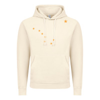 Vintage Artic flag of alaska Vintage Hoodie - linhVisuals