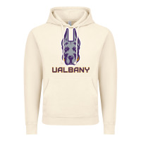 Vintage Artic Ualbany Great Danes Vintage Hoodie - linhVisuals