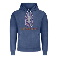 Vintage Denim Ualbany Great Danes Vintage Hoodie - linhVisuals