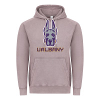Vintage Zinc Ualbany Great Danes Vintage Hoodie - linhVisuals