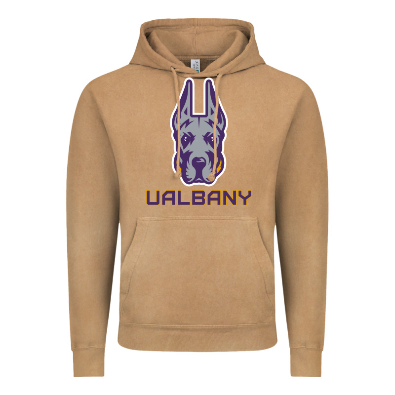 Ualbany Great Danes Vintage Hoodie by linhVisuals | Teevron
