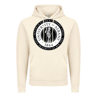 Vintage Artic University Albany Suny Vintage Hoodie - linhVisuals