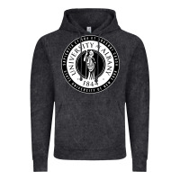 Vintage Black University Albany Suny Vintage Hoodie - linhVisuals