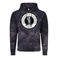 Cloud Black University Albany Suny Vintage Hoodie - linhVisuals