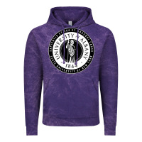 Cloud Purple University Albany Suny Vintage Hoodie - linhVisuals