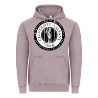 Vintage Zinc University Albany Suny Vintage Hoodie - linhVisuals