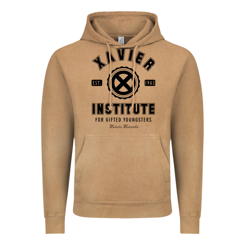 Xavier Institute Vintage Hoodie by linhVisuals | Teevron