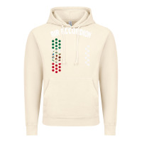 Vintage Artic mexican flag air accordion music instrument lover gift Vintage Hoodie - linhVisuals