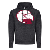 Vintage Black lock haven bald eagles Vintage Hoodie - linhVisuals
