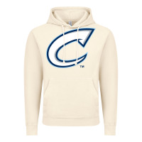 Vintage Artic columbus clippers Vintage Hoodie - linhVisuals