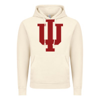 Vintage Artic indiana gifts Vintage Hoodie - linhVisuals