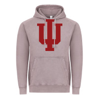 Vintage Zinc indiana gifts Vintage Hoodie - linhVisuals