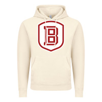 Vintage Artic Bradley University Athletics Vintage Hoodie - linhVisuals