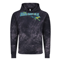 Cloud Black cal state bakersfield roadrunners Vintage Hoodie - linhVisuals