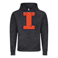 Vintage Black Illinois fighting illini, University of Illinois, UIUC, Geari Vintage Hoodie - linhVisuals