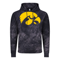 University Of Iowa Athletics Teams Gear Vintage Hoodie | Teevron