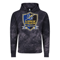 Cloud Black lehman college lightning Vintage Hoodie - linhVisuals