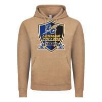 Lehman College Lightning Vintage Hoodie | Teevron