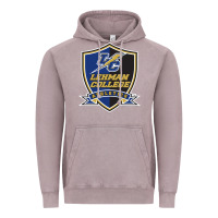 Vintage Zinc lehman college lightning Vintage Hoodie - linhVisuals