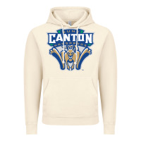 Vintage Artic suny canton Vintage Hoodie - linhVisuals