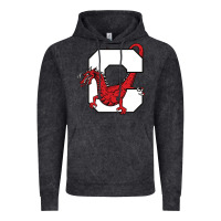 Suny Cortland Red Dragons Vintage Hoodie | Teevron