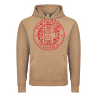 Vintage Coffee northeastern university Vintage Hoodie - linhVisuals