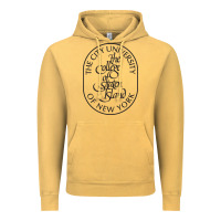 College Of Staten Island Vintage Hoodie | Teevron