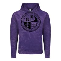Cloud Purple Csu Dominguez Hills Vintage Hoodie - linhVisuals