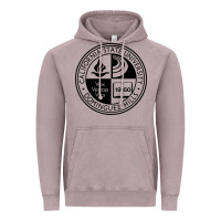 Vintage Zinc Csu Dominguez Hills Vintage Hoodie - linhVisuals