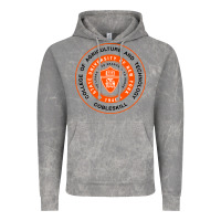 Cloud Rock Suny Cobleskill Vintage Hoodie - linhVisuals