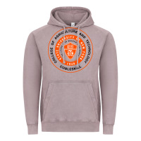 Vintage Zinc Suny Cobleskill Vintage Hoodie - linhVisuals