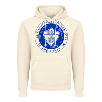 Vintage Artic Suny Fredonia Vintage Hoodie - linhVisuals
