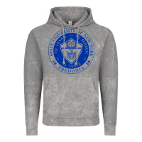 Cloud Rock Suny Fredonia Vintage Hoodie - linhVisuals