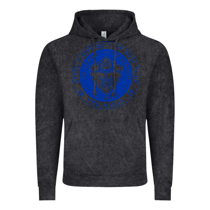 Suny Fredonia Vintage Hoodie by linhVisuals | Teevron