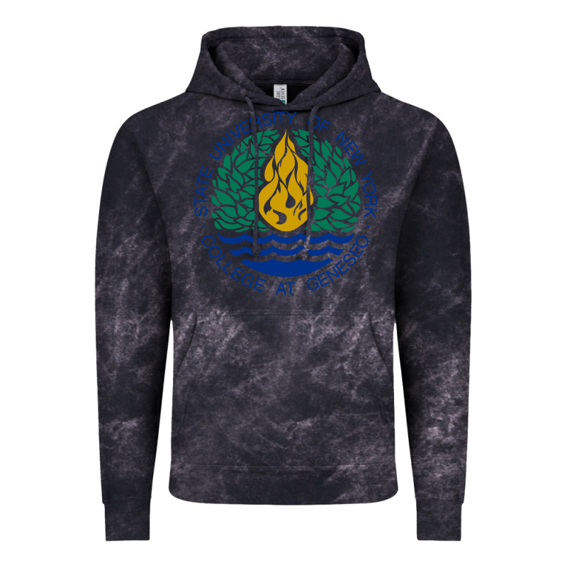 Suny Geneseo Vintage Hoodie by linhVisuals | Teevron
