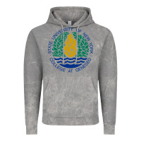 Cloud Rock Suny Geneseo Vintage Hoodie - linhVisuals