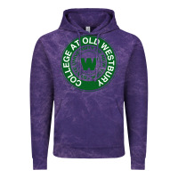 Cloud Purple Suny Old Westbury Vintage Hoodie - linhVisuals