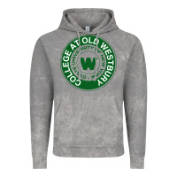 Cloud Rock Suny Old Westbury Vintage Hoodie - linhVisuals