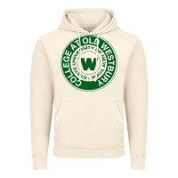 Vintage Artic Suny Old Westbury Vintage Hoodie - linhVisuals