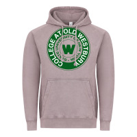 Vintage Zinc Suny Old Westbury Vintage Hoodie - linhVisuals