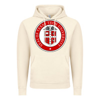 Vintage Artic Texas Tech University Vintage Hoodie - linhVisuals